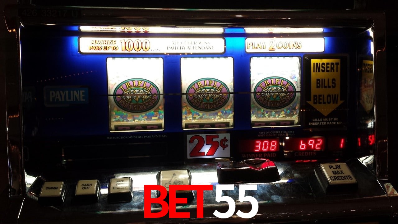 Experiência VIP BET55